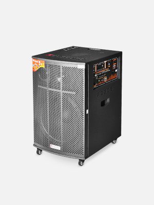 Loa kéo di động Redsound R2305 | Lưới xám