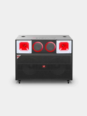 Loa kéo di động Redsound R2308C bass 4 tấc đôi 1 Redsound Vietnam Loa kéo di động Redsound R2308C | Mặt trước