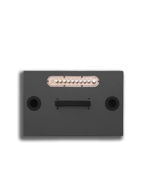 R242M CAM 01 copy Redsound Vietnam