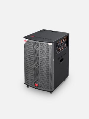 Loa karaoke di động Redsound R2406A