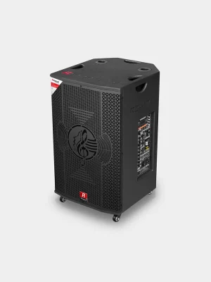 Loa di động 4 tấc đơn Redsound R2417 1 Redsound Vietnam R2417 2 Redsound Vietnam