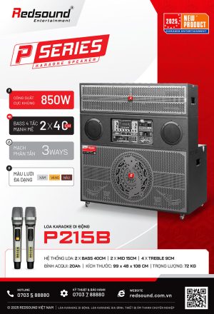 P215B 00 Redsound Vietnam