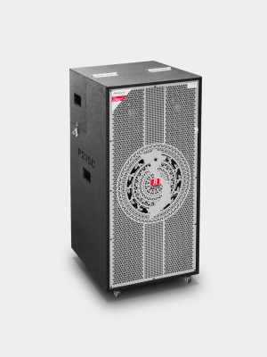 Loa kéo di động Redsound P215C bass 4 tấc đôi 3 Redsound Vietnam P215C 4 Redsound Vietnam