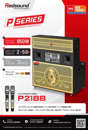 P218B 00 Redsound Vietnam