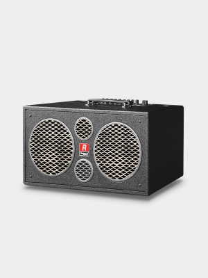 Loa xách tay Redsound P-208C bass 2 tấc đôi 2 Redsound Vietnam web3 Redsound Vietnam