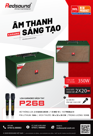P268 Redsound Vietnam
