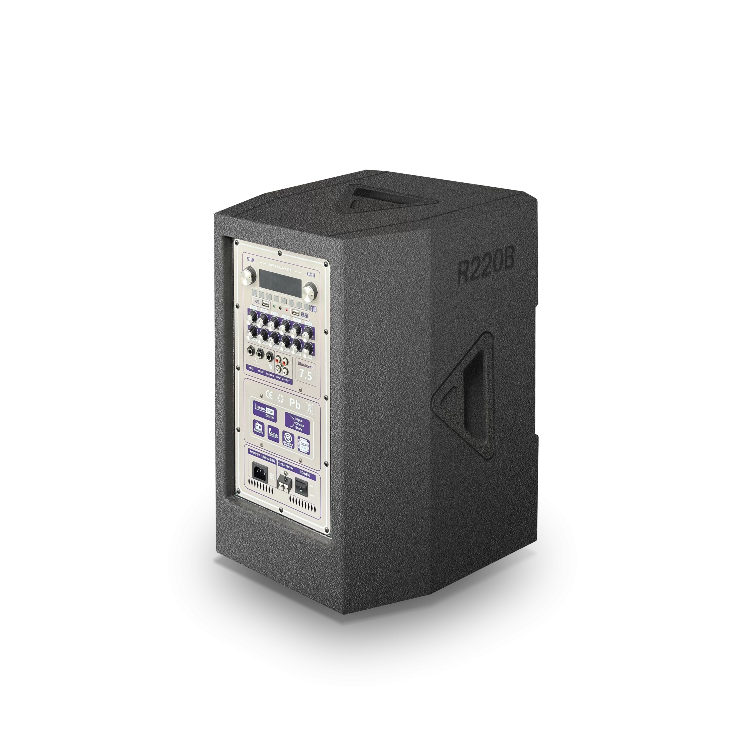 Loa xách tay Redsound R220B 6 Redsound Vietnam R220B 03 copy scaled Redsound Vietnam